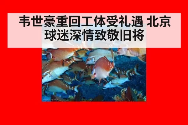 韦世豪重回工体受礼遇 北京球迷深情致敬旧将